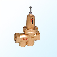 Y11X(200P)ֱñĤʽpy